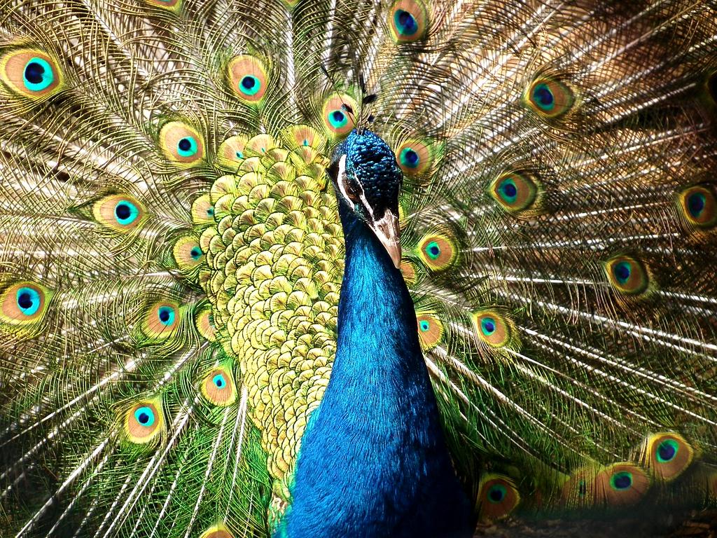 Augmented reality workspace with floating holographic displays