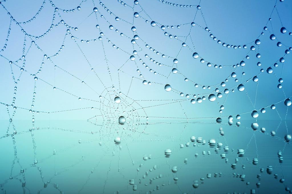 Bio-integrated computing system with living neural networks